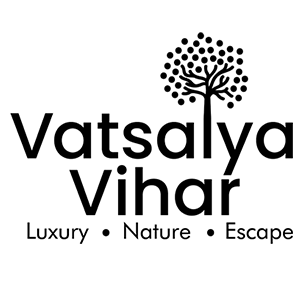 hotel videography company in Udaipur